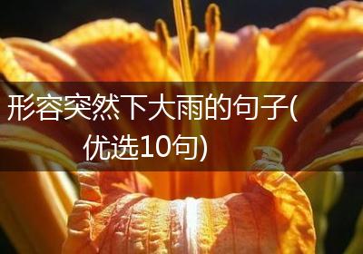形容突然下大雨的句子(优选10句)