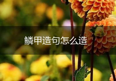 鳞甲造句怎么造