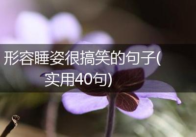 形容睡姿很搞笑的句子(实用40句)