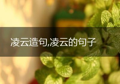凌云造句,凌云的句子