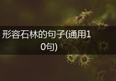 形容石林的句子(通用10句)