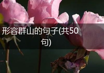 形容群山的句子(共50句)