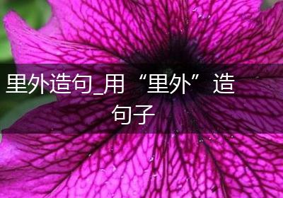 里外造句_用“里外”造句子