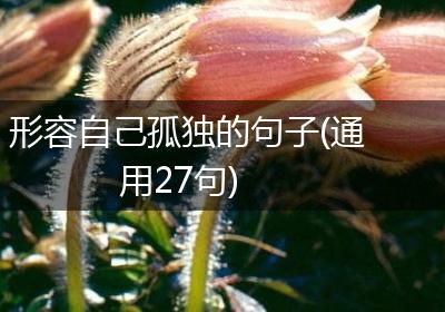 形容自己孤独的句子(通用27句)