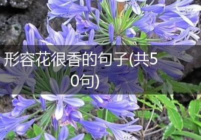 形容花很香的句子(共50句)