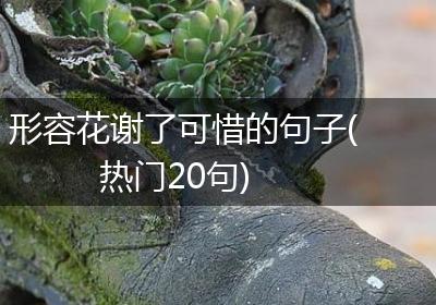 形容花谢了可惜的句子(热门20句)