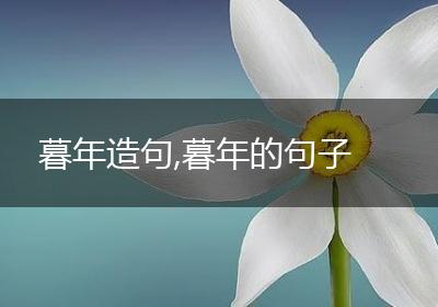 暮年造句,暮年的句子