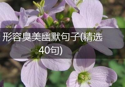 形容臭美幽默句子(精选40句)