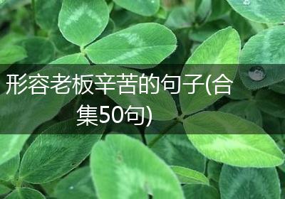 形容老板辛苦的句子(合集50句)