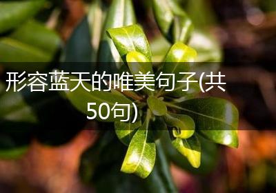 形容蓝天的唯美句子(共50句)