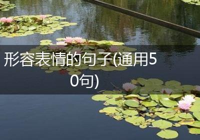形容表情的句子(通用50句)