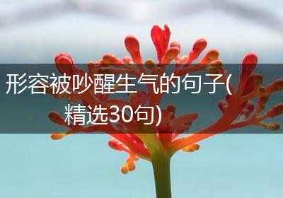 形容被吵醒生气的句子(精选30句)