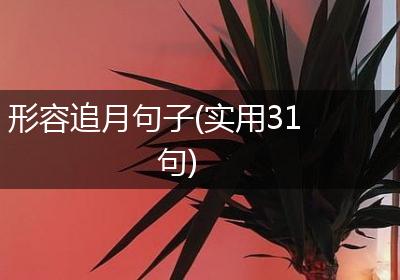 形容追月句子(实用31句)