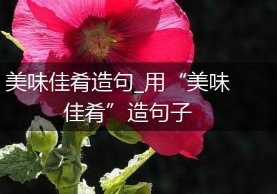 美味佳肴造句_用“美味佳肴”造句子