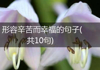 形容辛苦而幸福的句子(共10句)