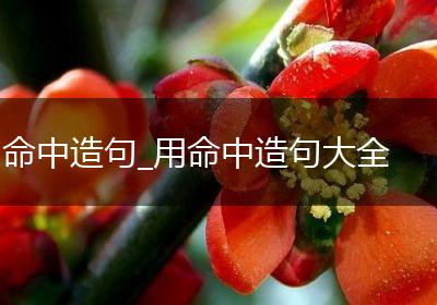 命中造句_用命中造句大全