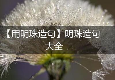 【用明珠造句】明珠造句大全