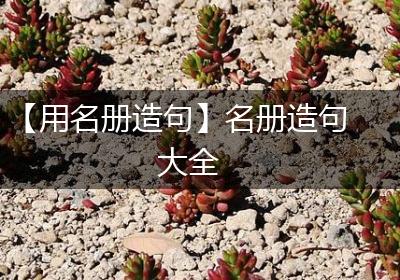 【用名册造句】名册造句大全