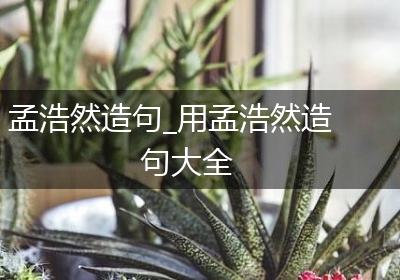 孟浩然造句_用孟浩然造句大全