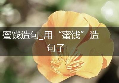 蜜饯造句_用“蜜饯”造句子