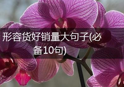 形容货好销量大句子(必备10句)