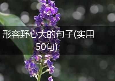 形容野心大的句子(实用50句)