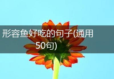 形容鱼好吃的句子(通用50句)