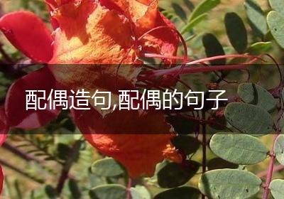 配偶造句,配偶的句子