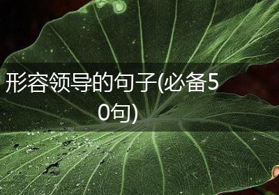 形容领导的句子(必备50句)