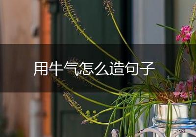 用牛气怎么造句子