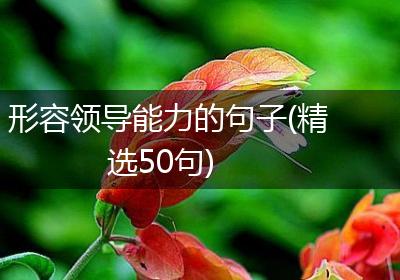 形容领导能力的句子(精选50句)