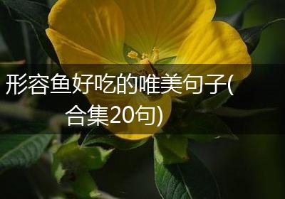 形容鱼好吃的唯美句子(合集20句)