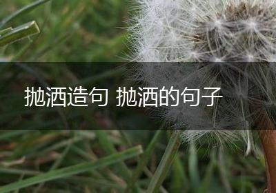 抛洒造句 抛洒的句子