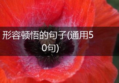 形容顿悟的句子(通用50句)