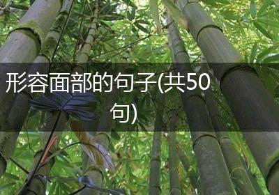 形容面部的句子(共50句)