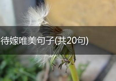 待嫁唯美句子(共20句)