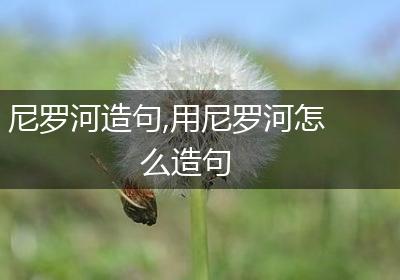 尼罗河造句,用尼罗河怎么造句