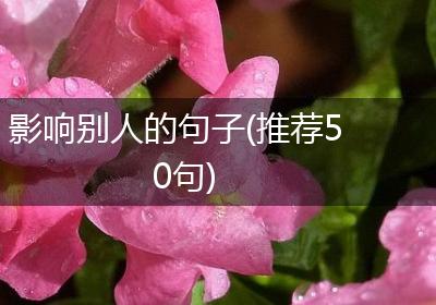 影响别人的句子(推荐50句)