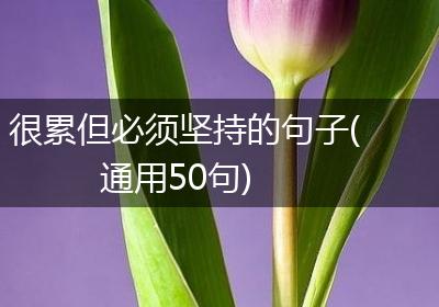 很累但必须坚持的句子(通用50句)
