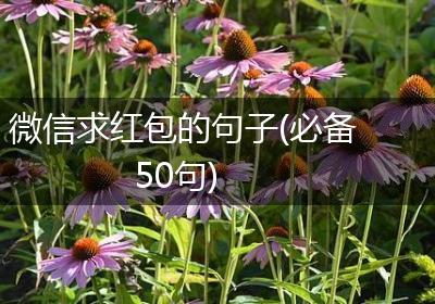 微信求红包的句子(必备50句)