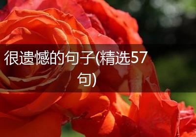 很遗憾的句子(精选57句)