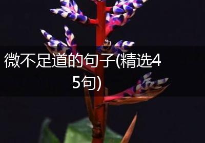 微不足道的句子(精选45句)