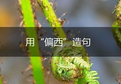 用“偏西”造句