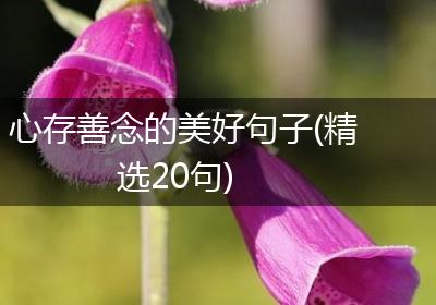 心存善念的美好句子(精选20句)