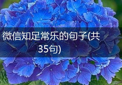 微信知足常乐的句子(共35句)