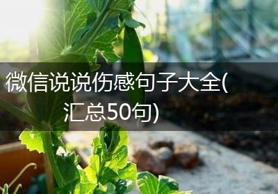 微信说说伤感句子大全(汇总50句)