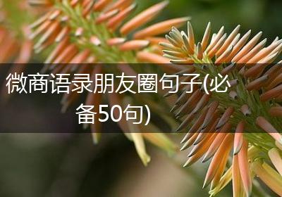 微商语录朋友圈句子(必备50句)