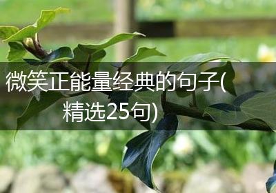 微笑正能量经典的句子(精选25句)