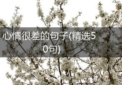 心情很差的句子(精选50句)