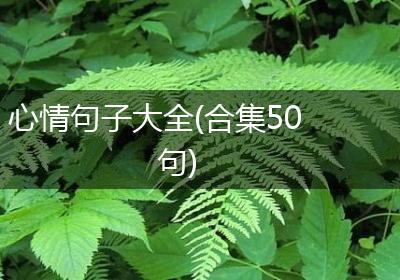 心情句子大全(合集50句)